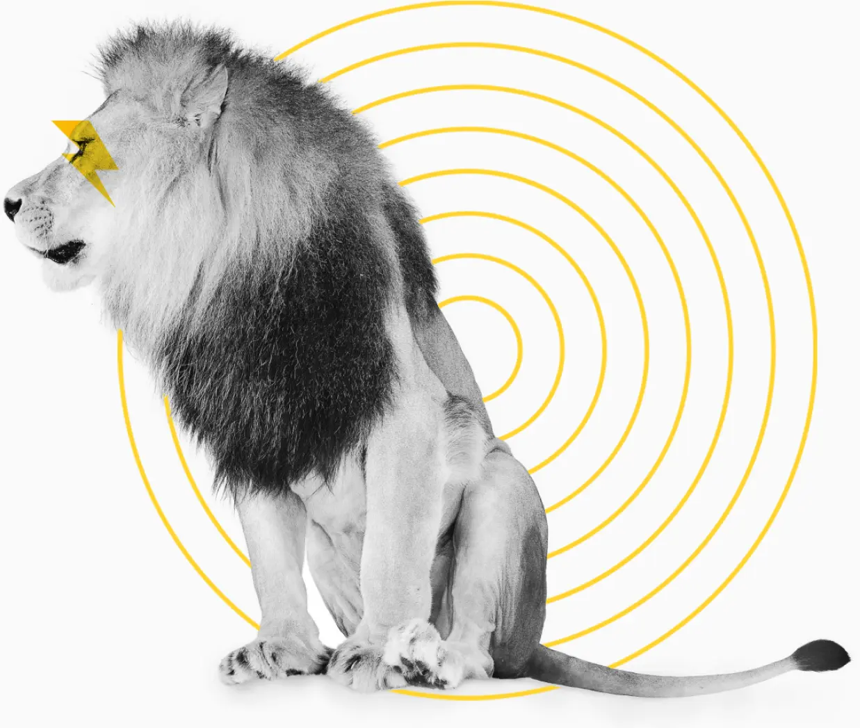 An impressive lion representing the impact of the Ecosi experience.